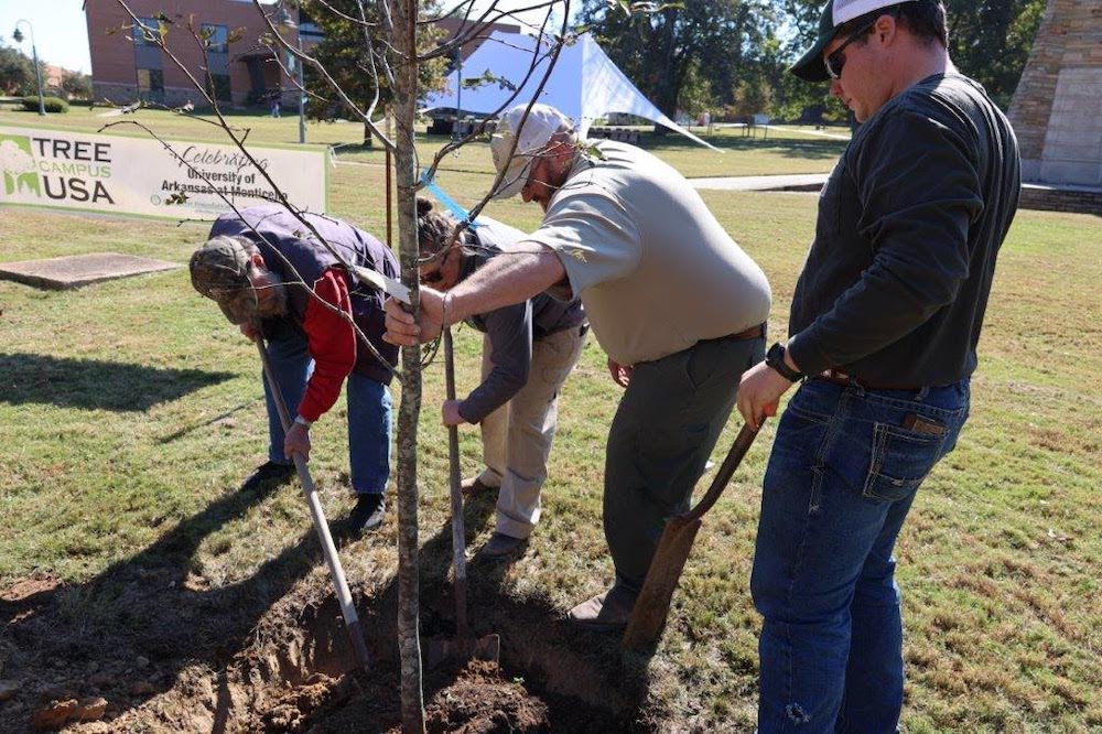 A group of people standing around a tree.