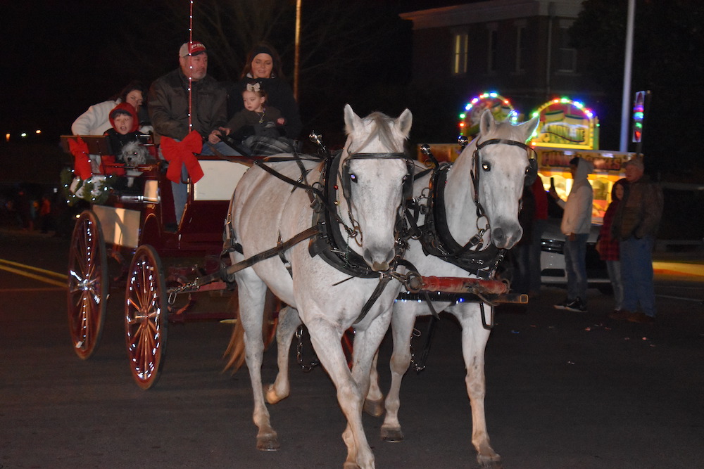 Two white horses pulling a carriage down the street.
