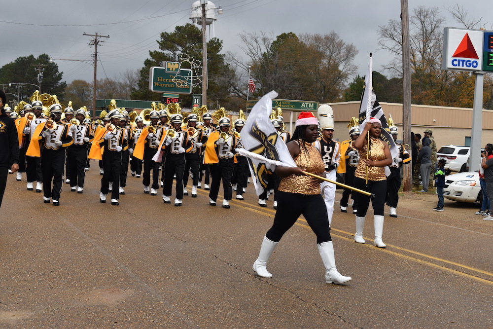 A parade with marching band in formation on the street.