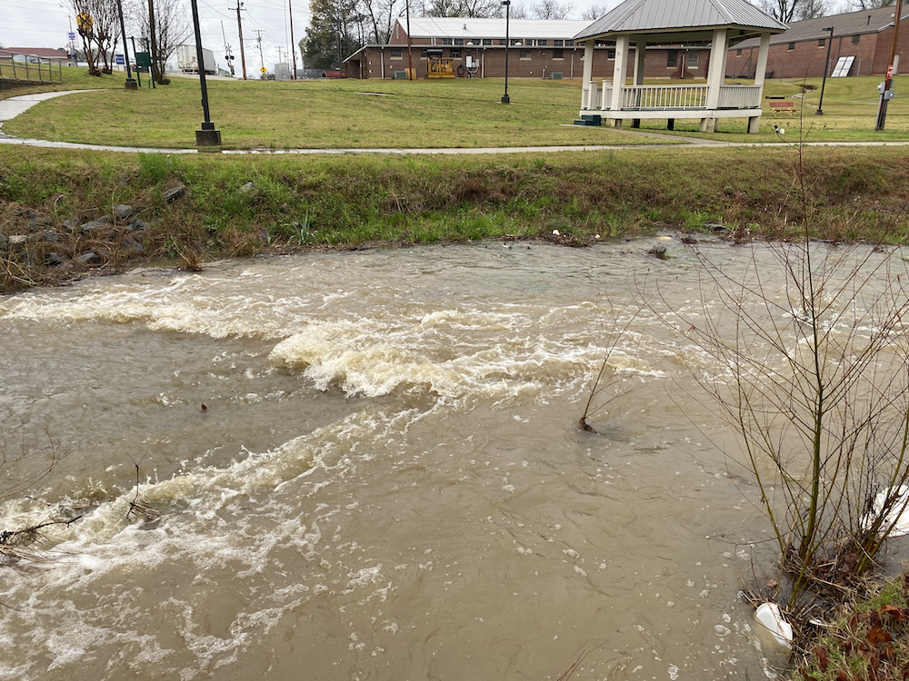 A river running through the middle of a park.