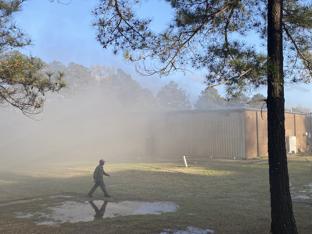 A person walking in the grass near some trees.