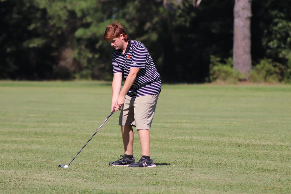 A man is playing golf on the grass