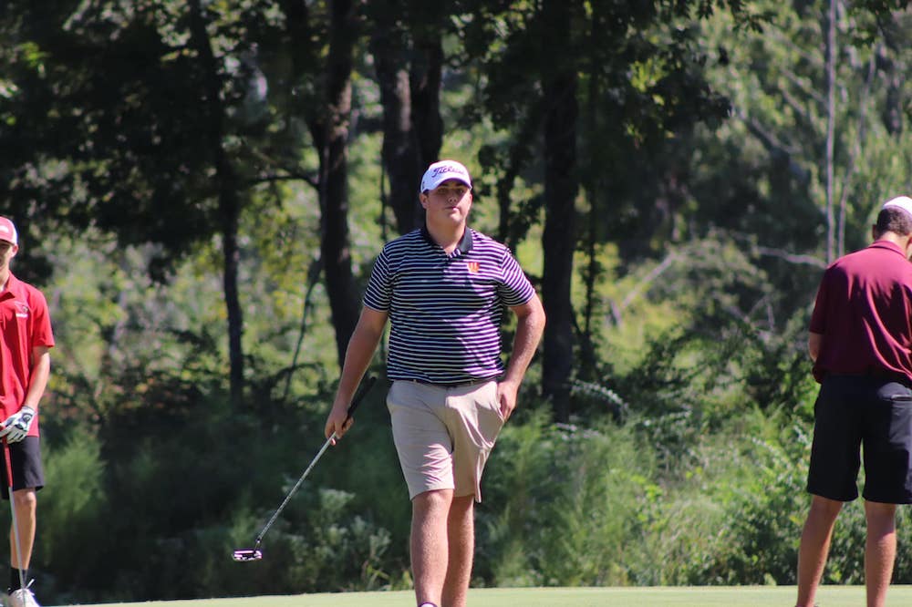 A man in purple shirt holding golf club on green.