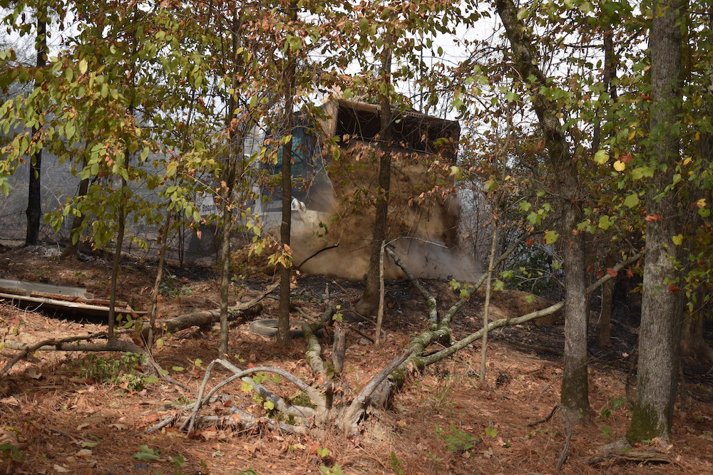 A fire hydrant in the middle of a forest.