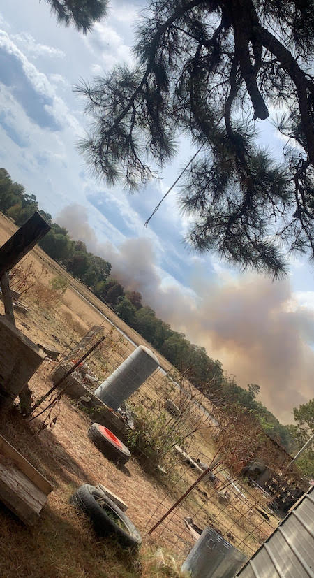 A fire is burning in the distance behind trees.