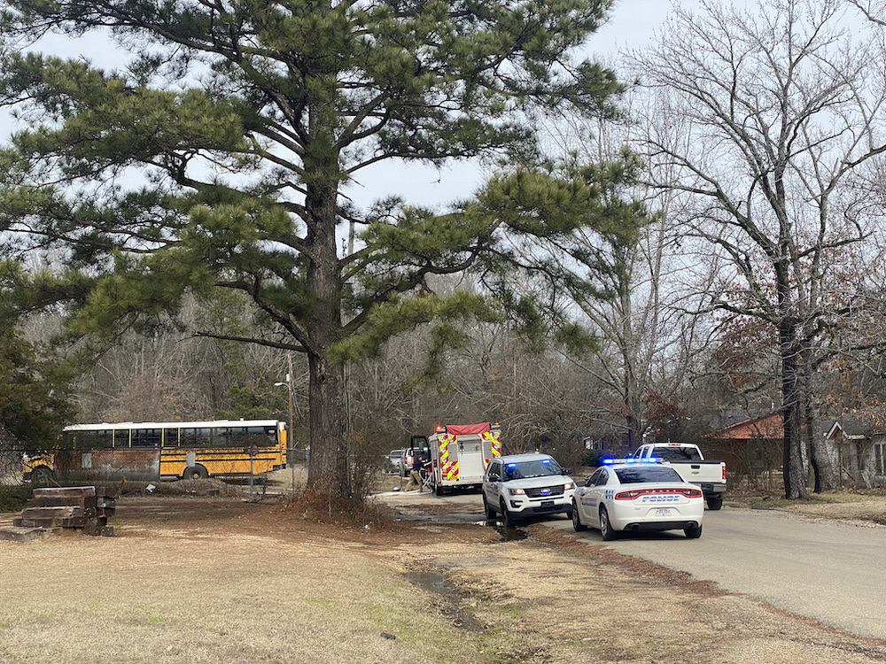 A school bus is parked in front of the tree.