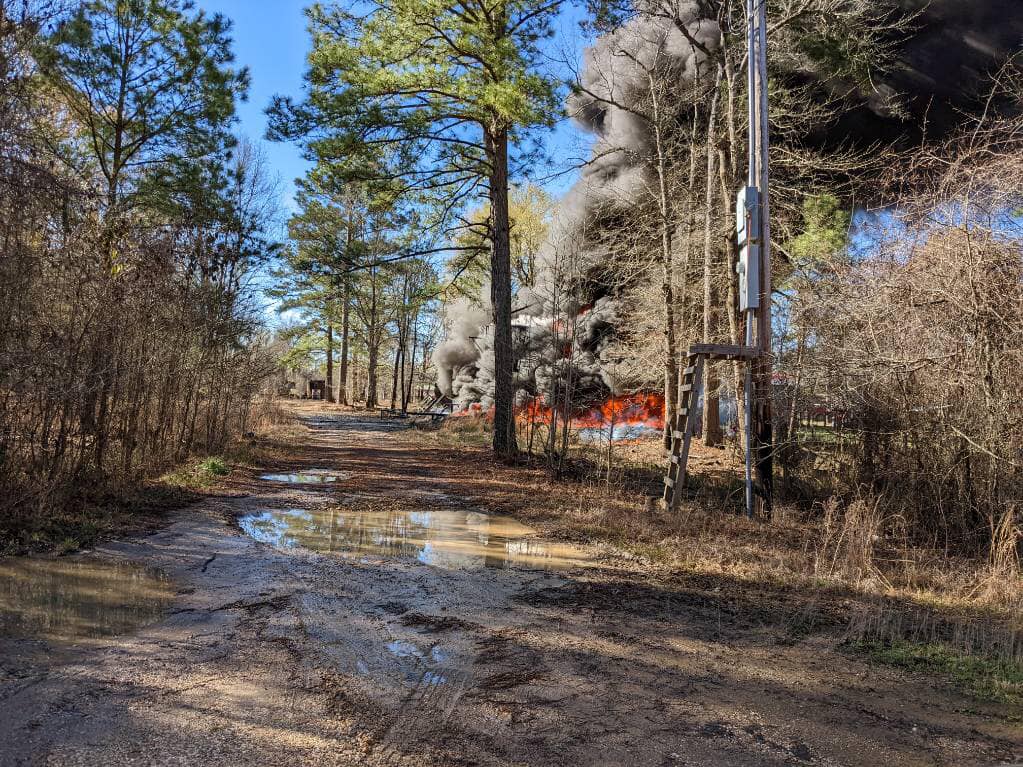 A train is on the tracks near some trees.