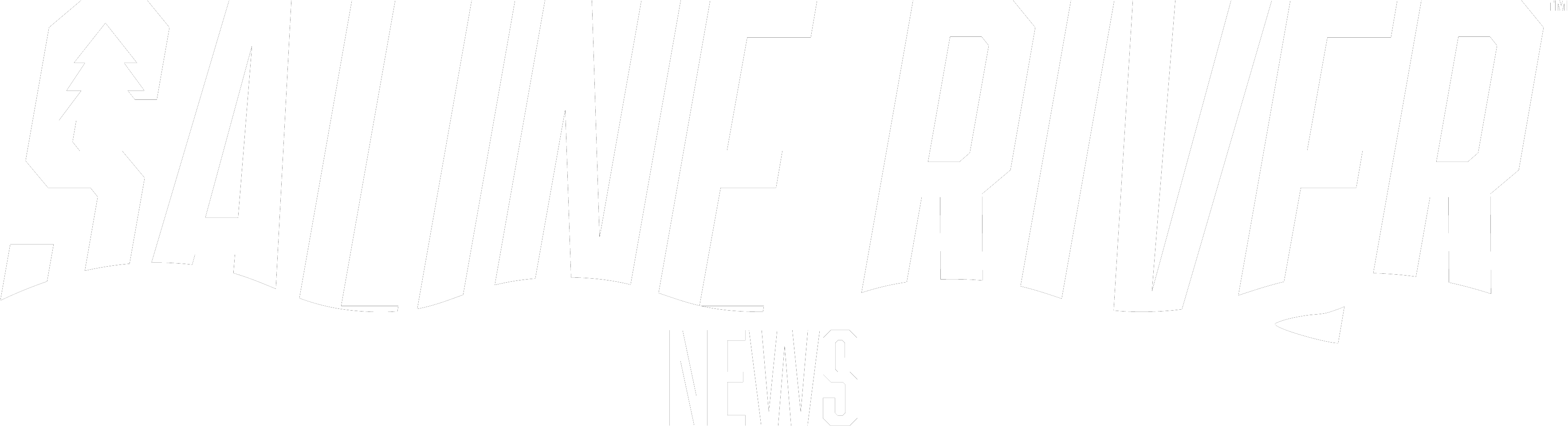 A black and white image of the word news.