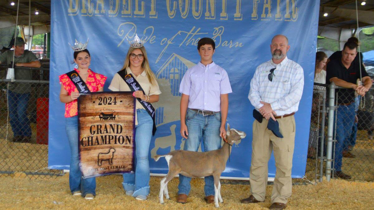 A group of people standing around a goat.