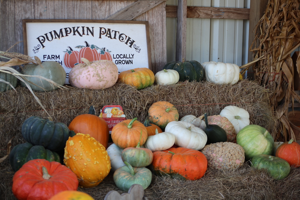 A pile of pumpkins sitting on top of hay.