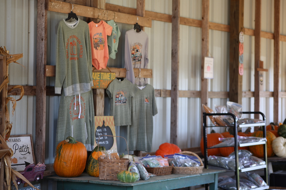 A table with pumpkins and other items on it.