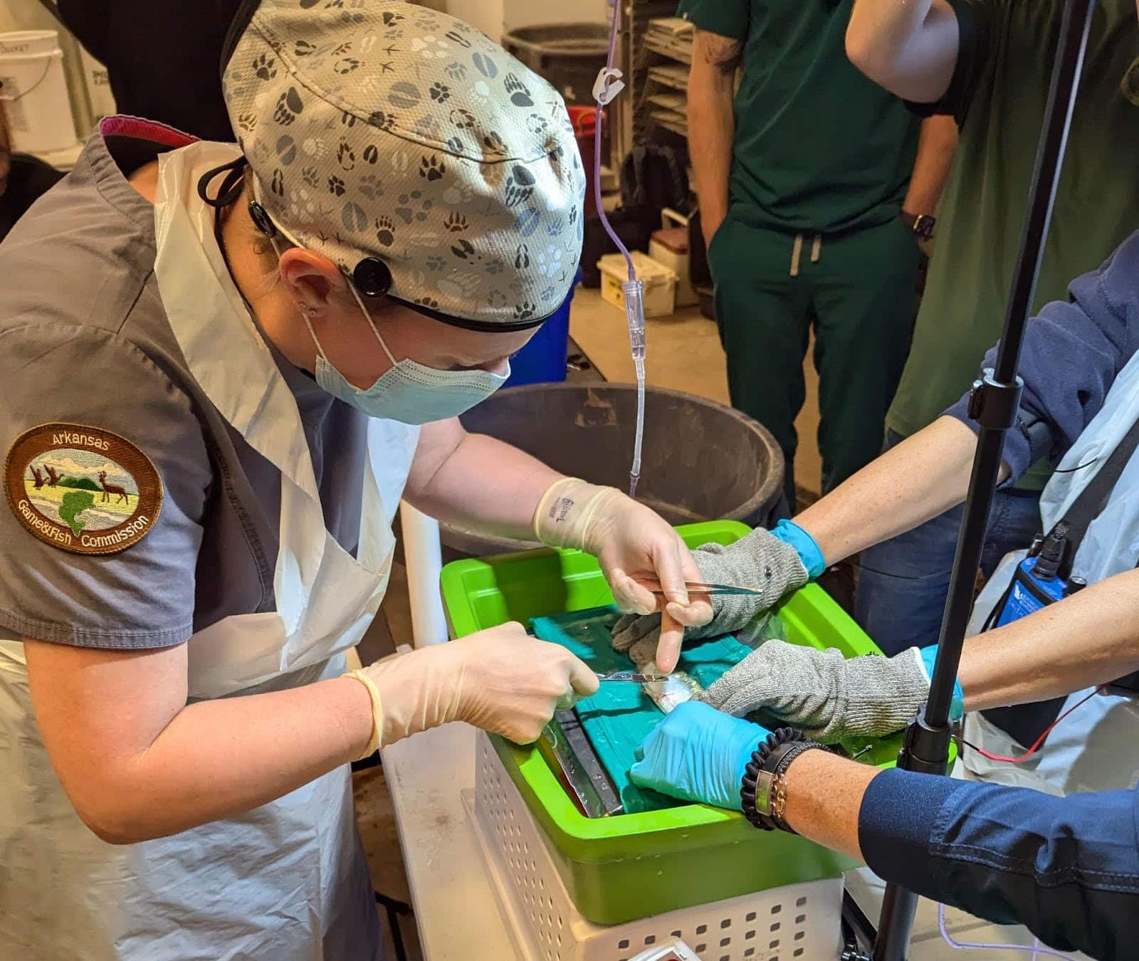 A person in a surgical mask and gloves is working on something.