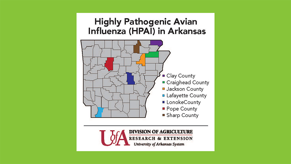 A map of the state of arkansas with counties labeled.