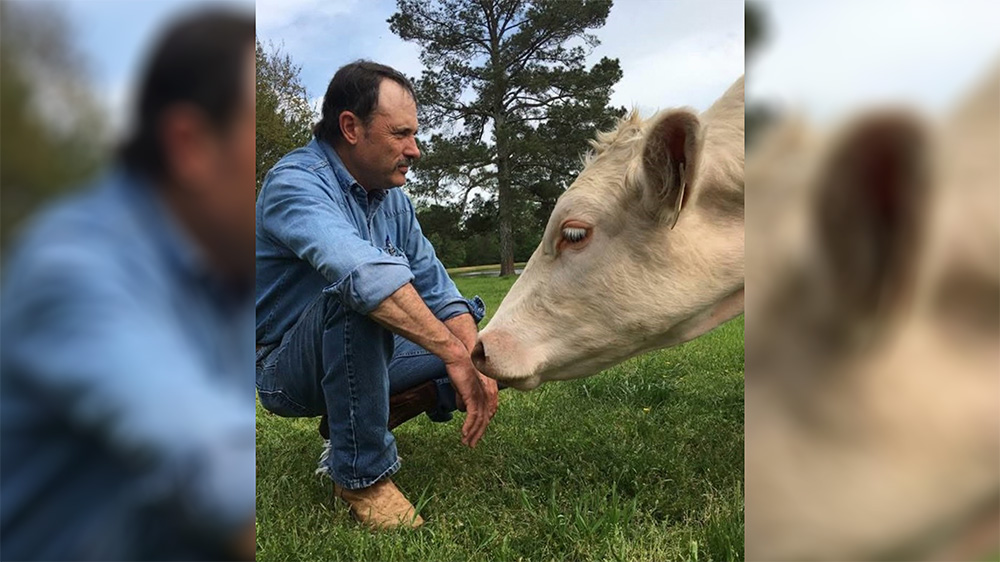 A man kneeling down to pet a cow.