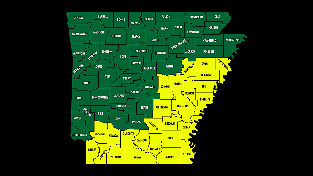 A map of arkansas with counties shaded in yellow.