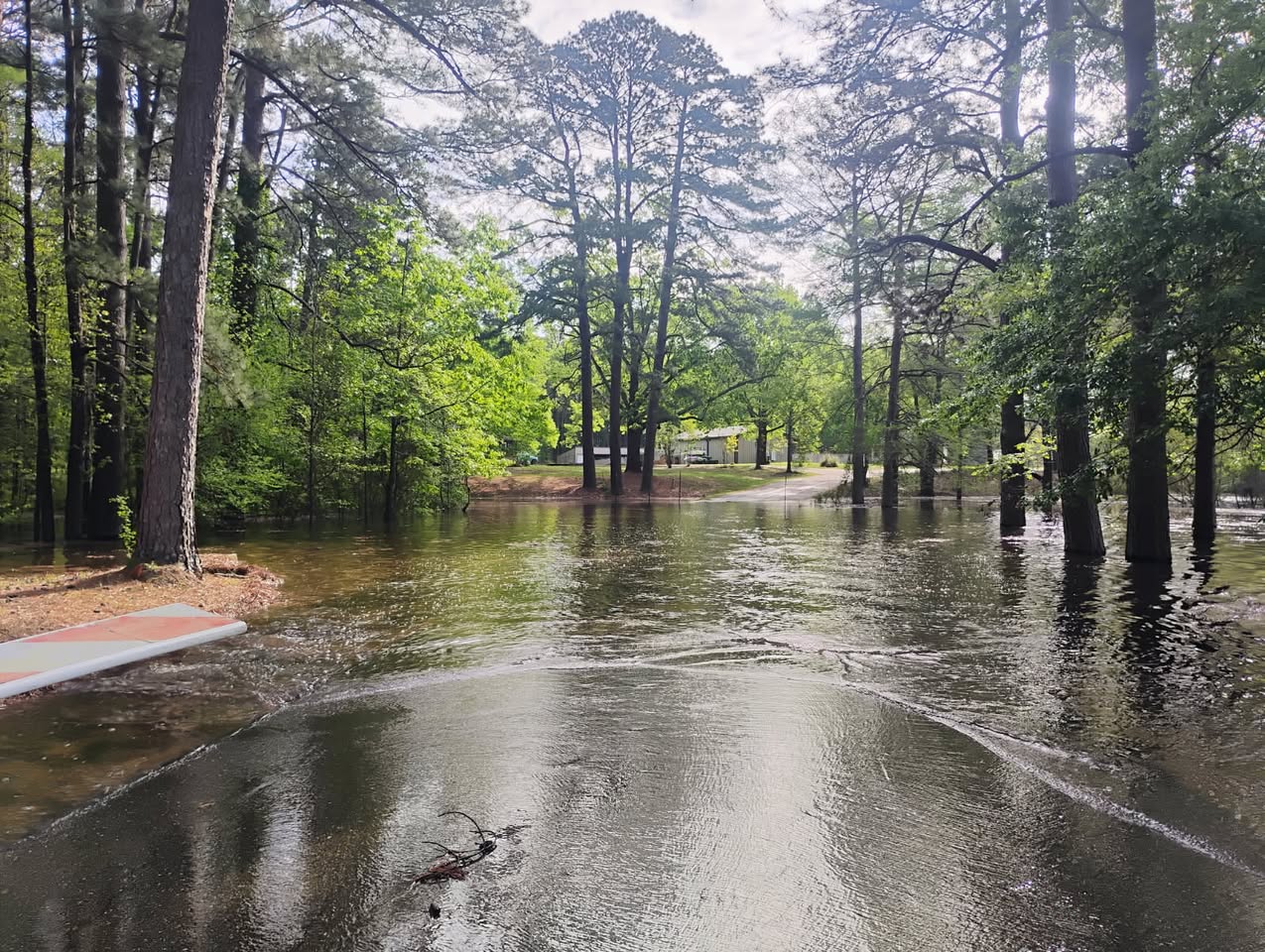 A flooded area with trees and bushes in the background.