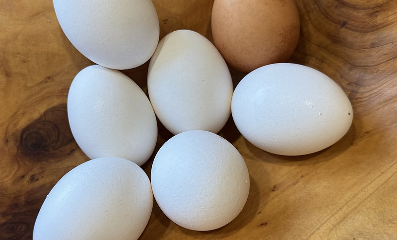 Farmers, consumers may be riding the egg price waves in the coming months