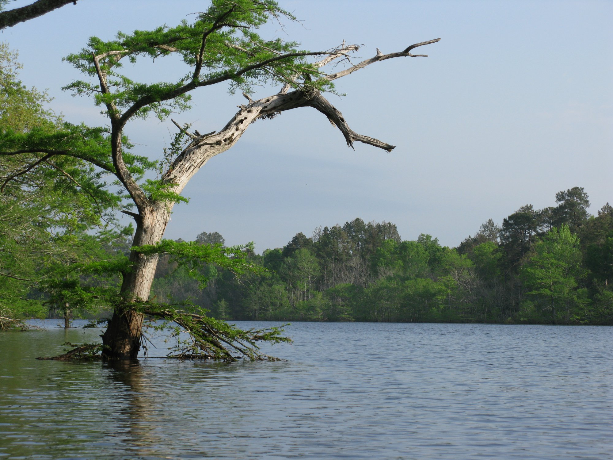 Moro Bay State Park Announces Memorial Day Weekend Programs, Seasonal Job Opening
