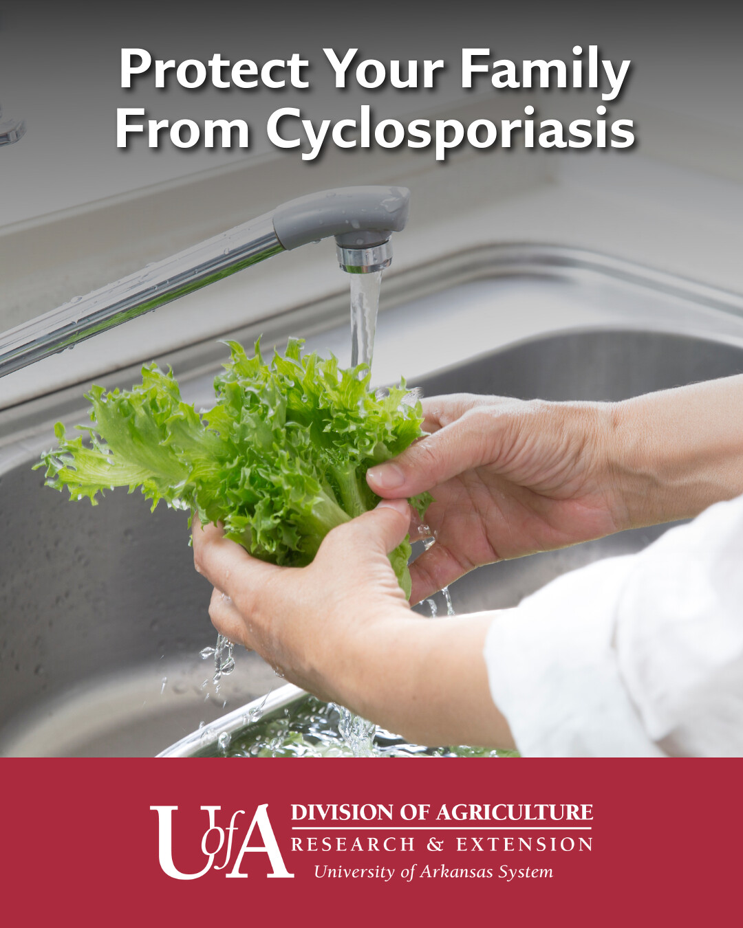 Cyclosporiasis outbreak: Keeping your family safe