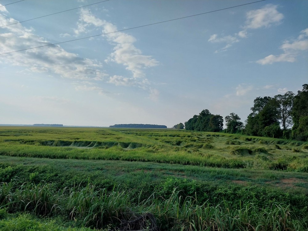 Weekend rains provide relief for parched fields