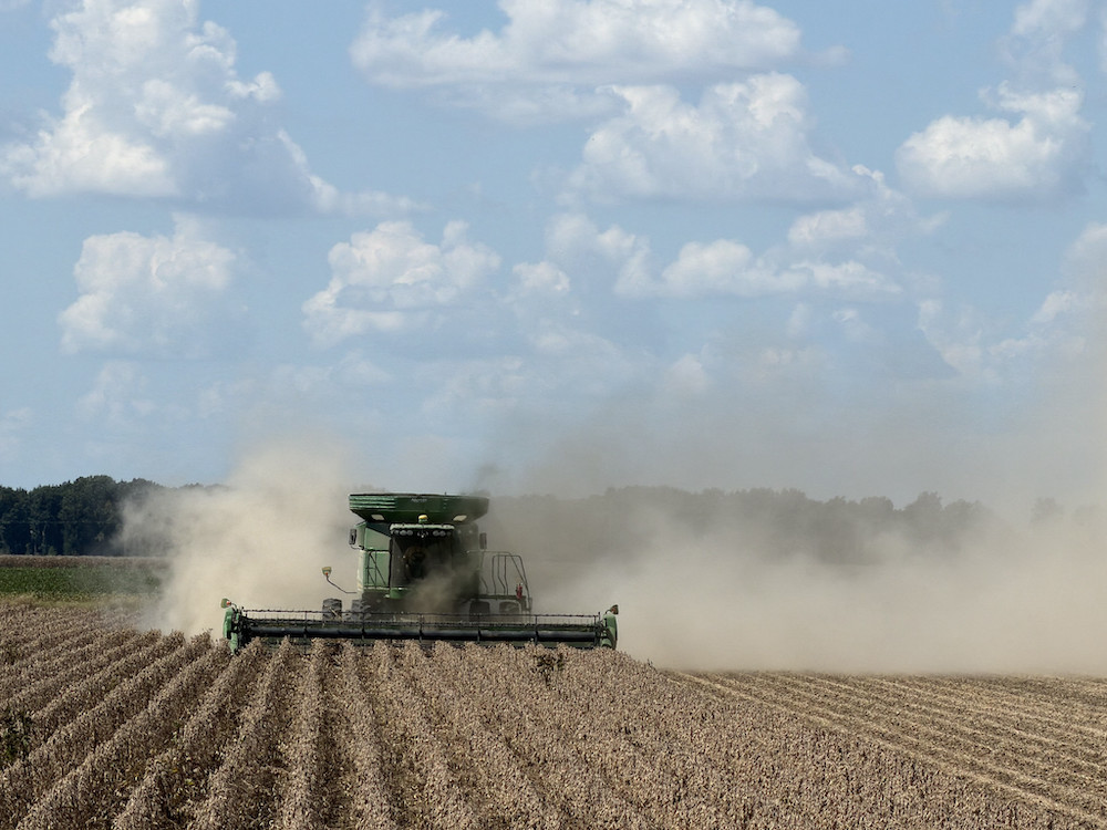 Heat spurs Arkansas cotton closer to harvest as diesel soars